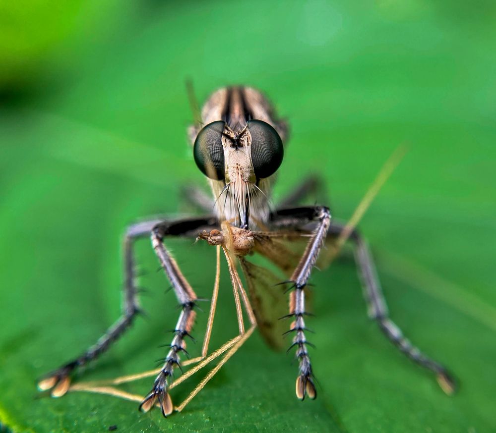 Photograph by Abhijit Roy