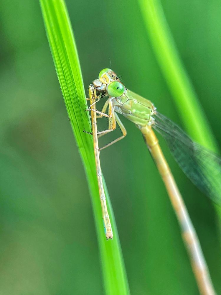 Photograph by Abhijit Roy