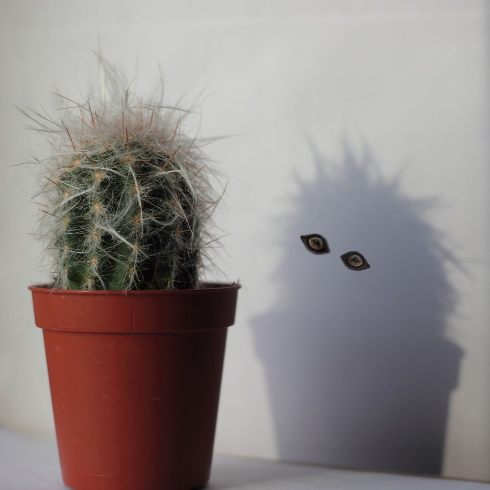 Photograph by Елена Миронова