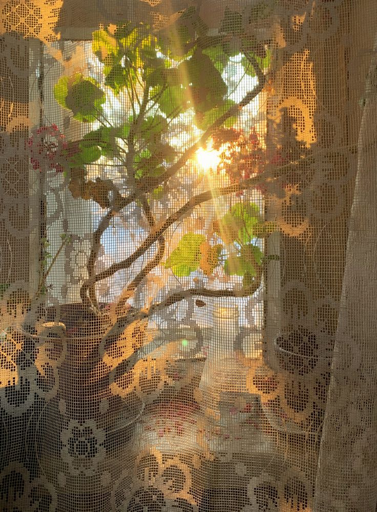 солнечное зимнее утро