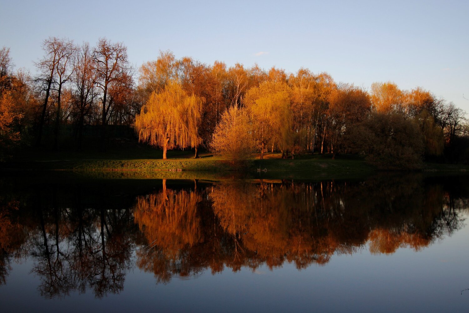 Photo #8540156