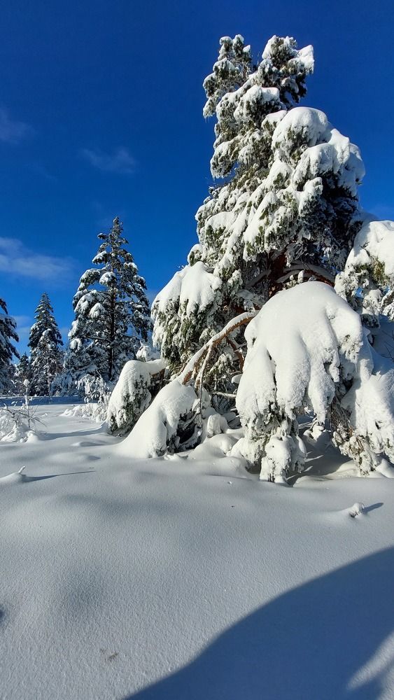 Photograph by Юлия Садовщикова