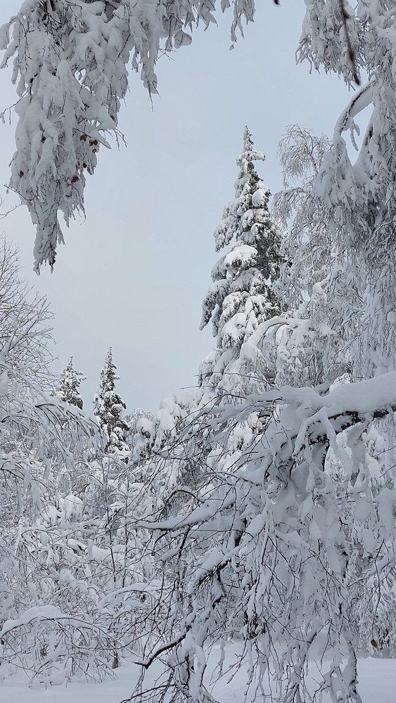 Photograph by Юлия Садовщикова