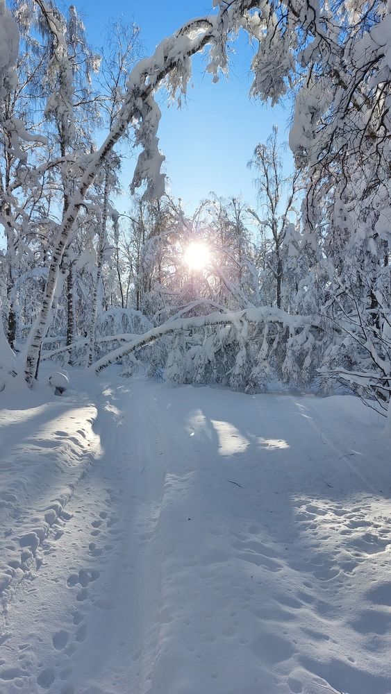 Photograph by Юлия Садовщикова