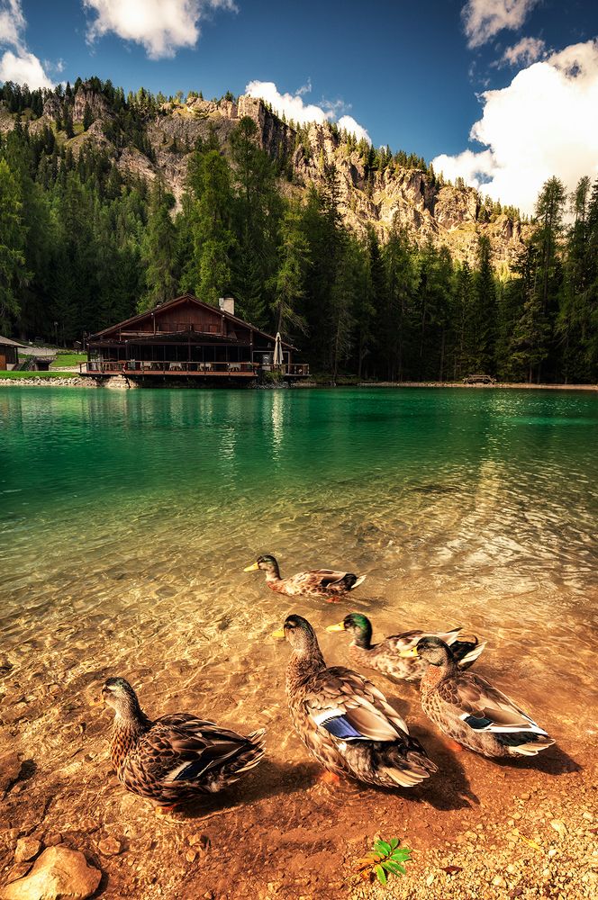 Photograph by Marija Filevska