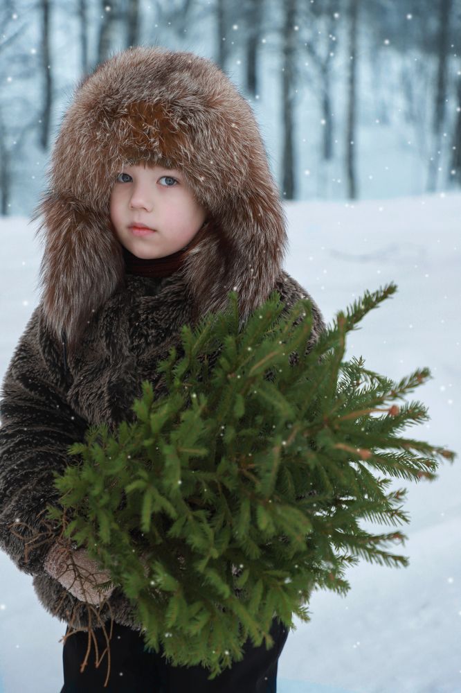 Photograph by Елена Сиднина