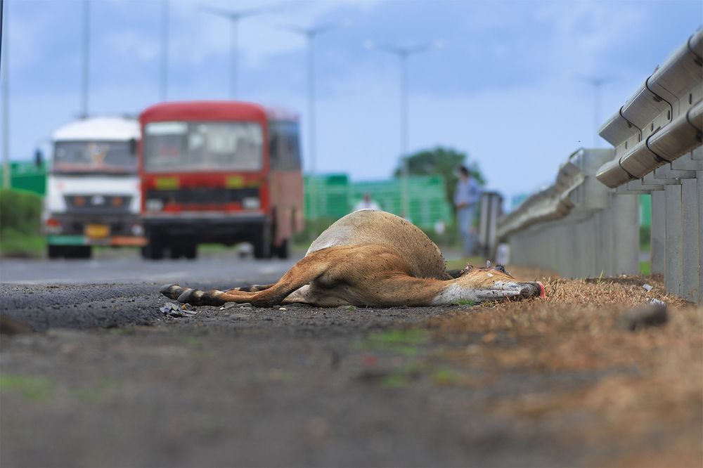 Photograph by Tushar Ambadkar