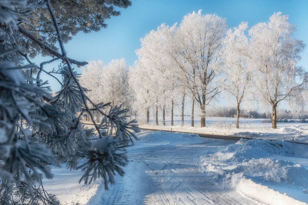 Photograph by Galina