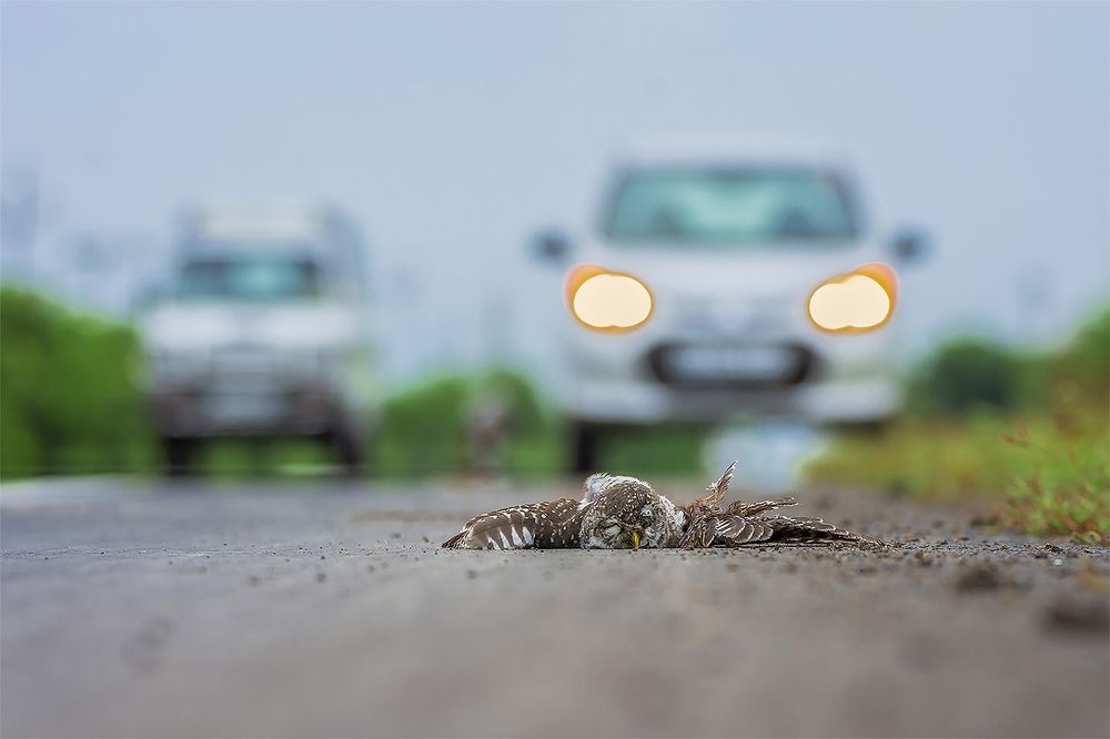 Photograph by Tushar Ambadkar