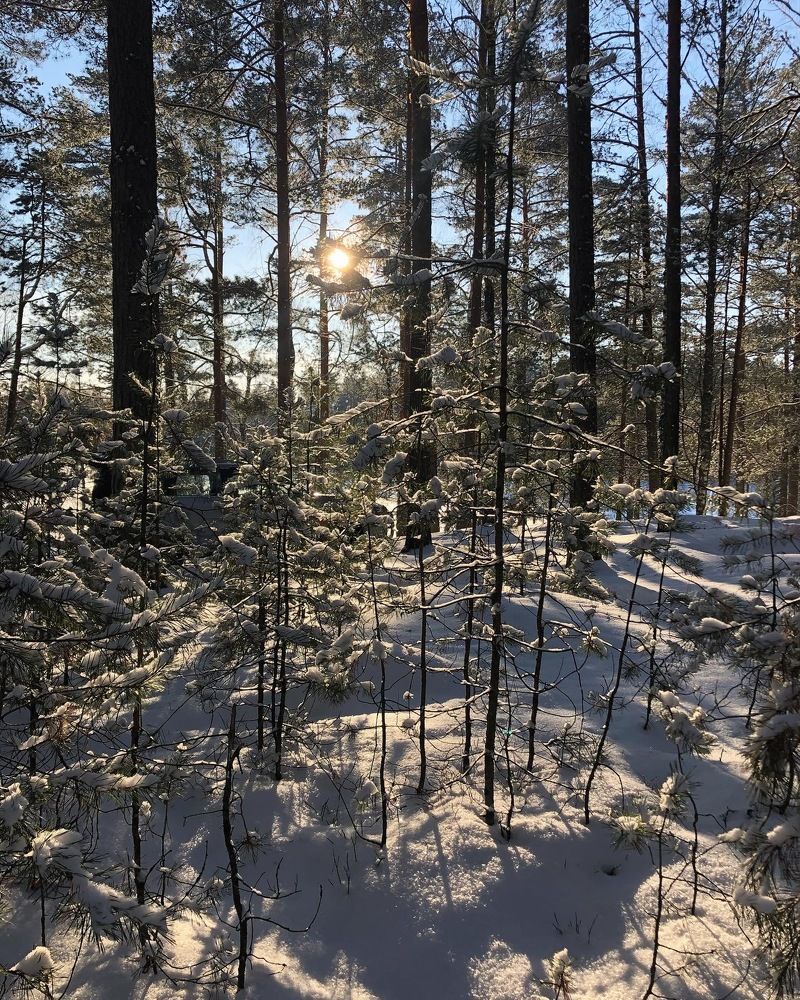 Photograph by Юлия