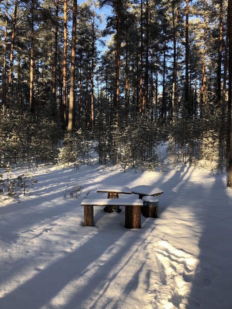 Photograph by Юлия