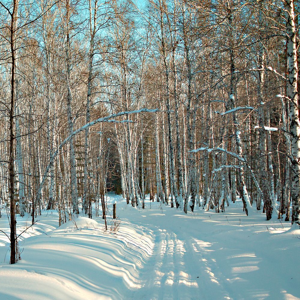 Photograph by Максим Тельманов