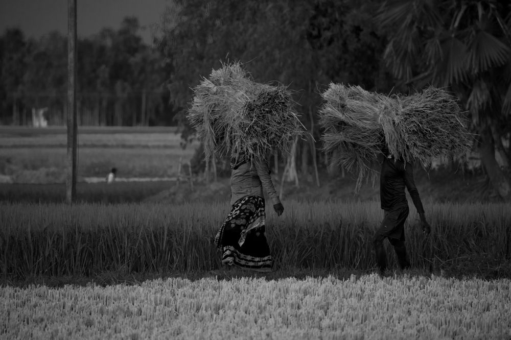 Photograph by Abhijit Roy