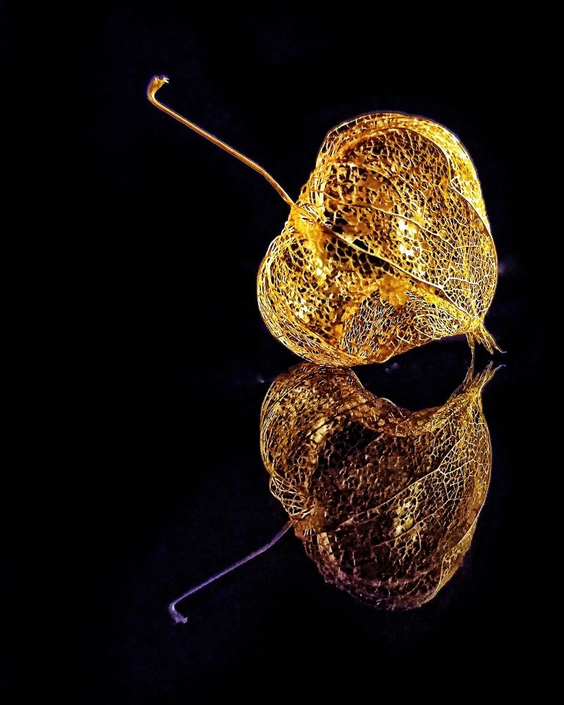 Photograph by Ольга Третьякова