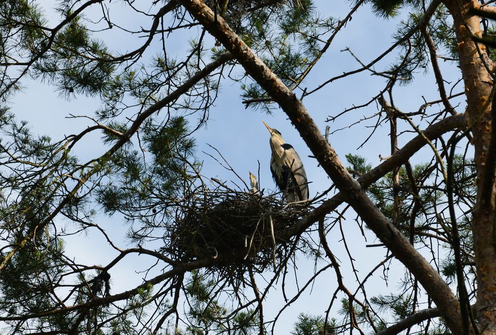 Фотография автора Елена