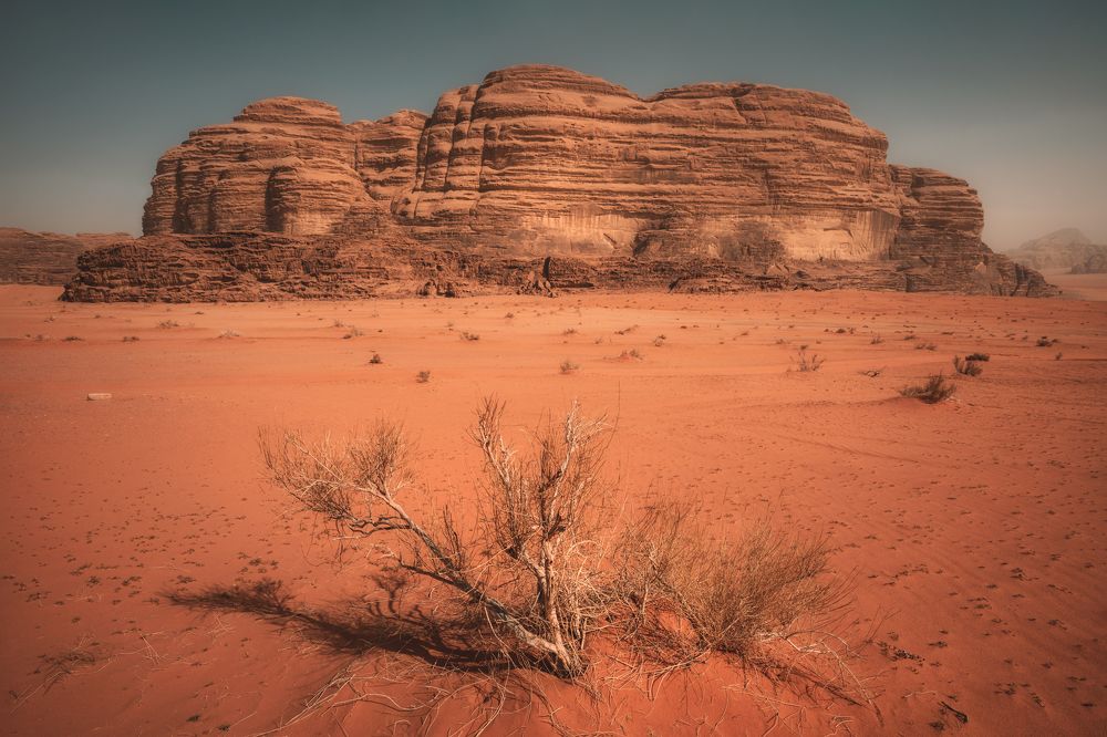 Photograph by Lara Iris