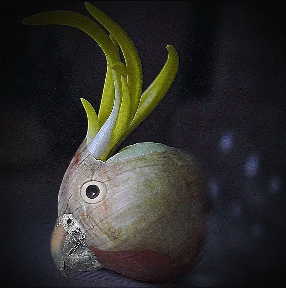 Photograph by Елена Миронова