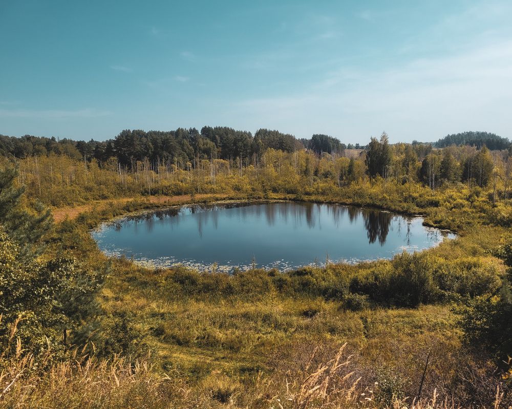 Photograph by Ольга Ларизадех