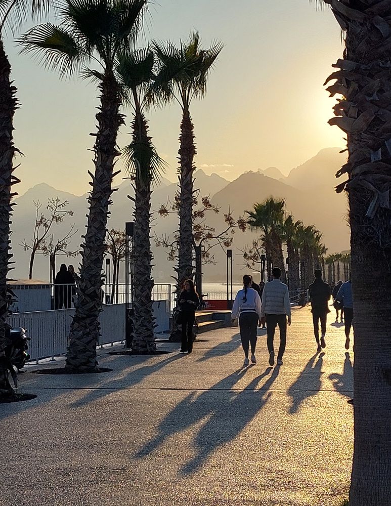 Photograph by Olga Min