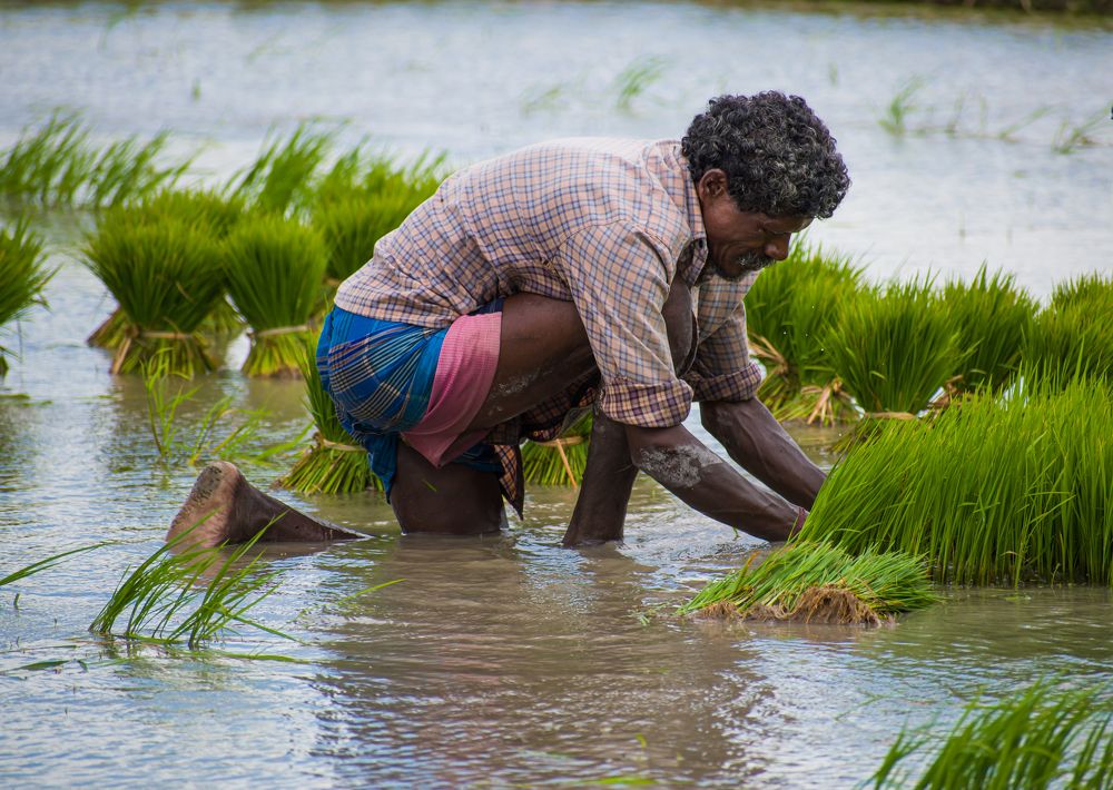 Photograph by Abhijit Roy