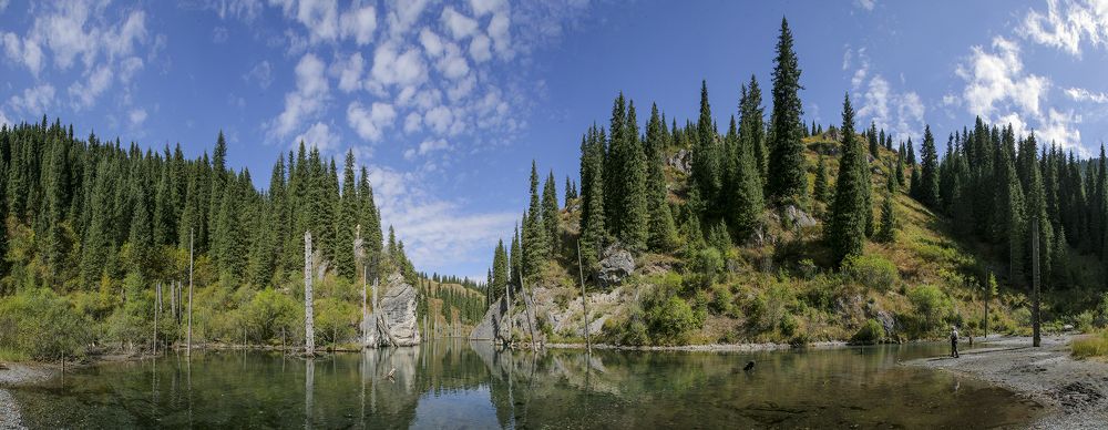 Фотография автора Владимир Пронин