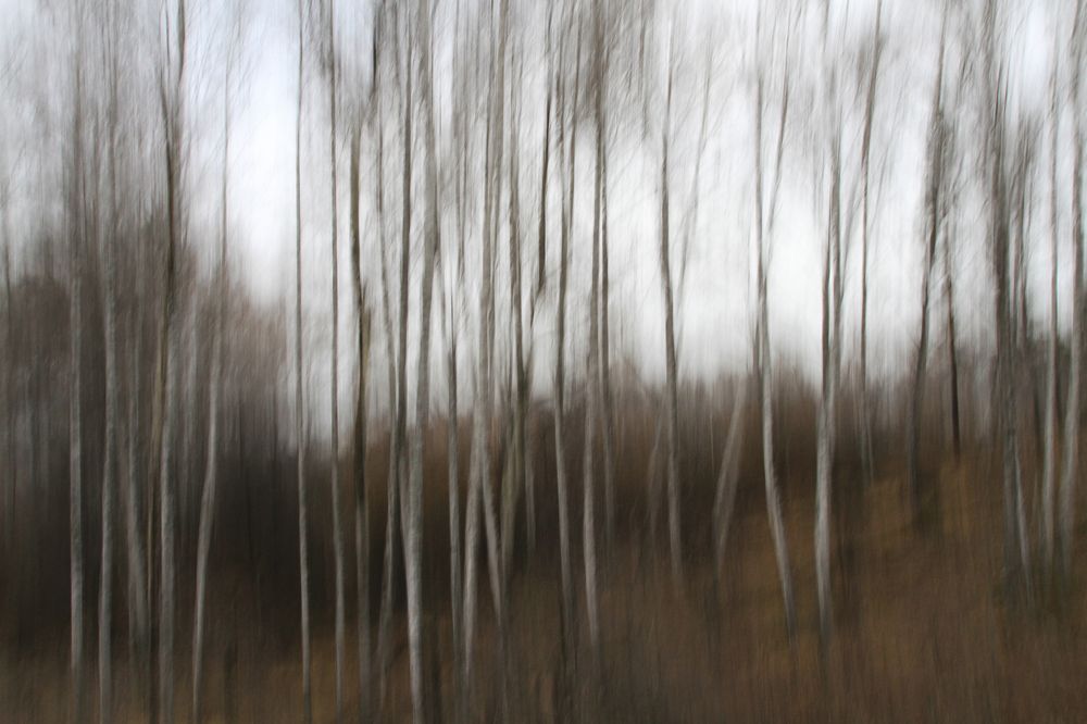 Photograph by Гагик Мхитарян