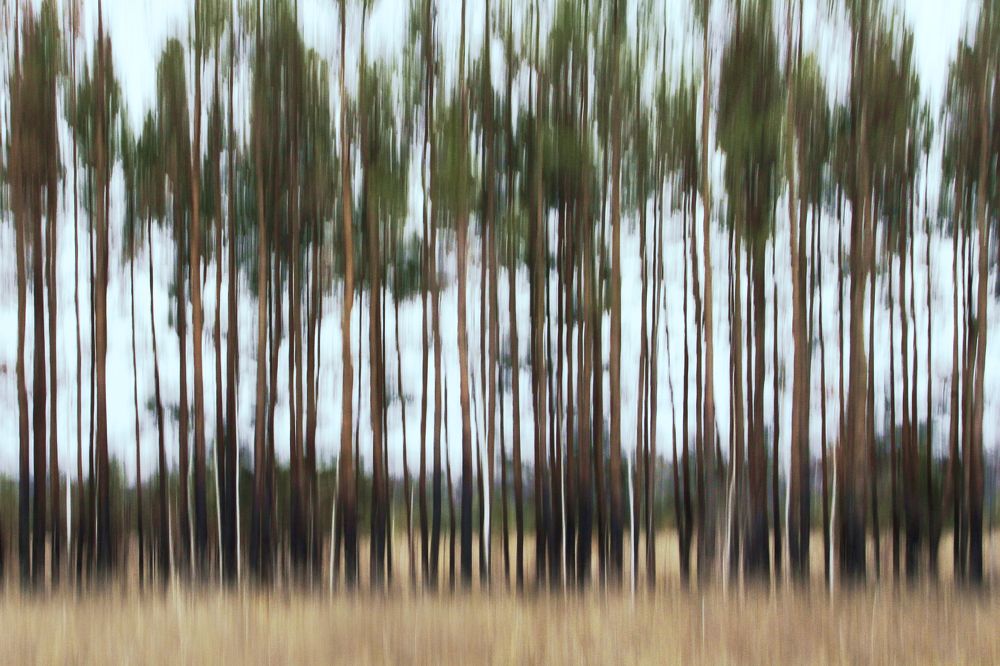 Photograph by Гагик Мхитарян