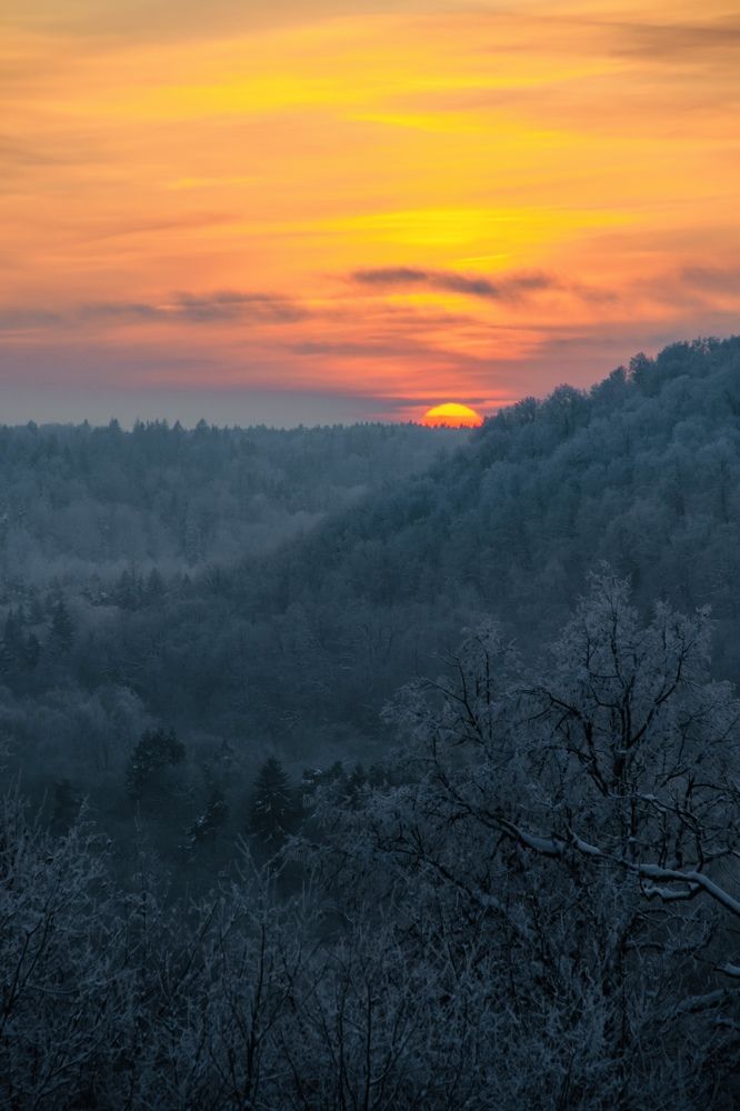Photograph by Daniel Saikovsky