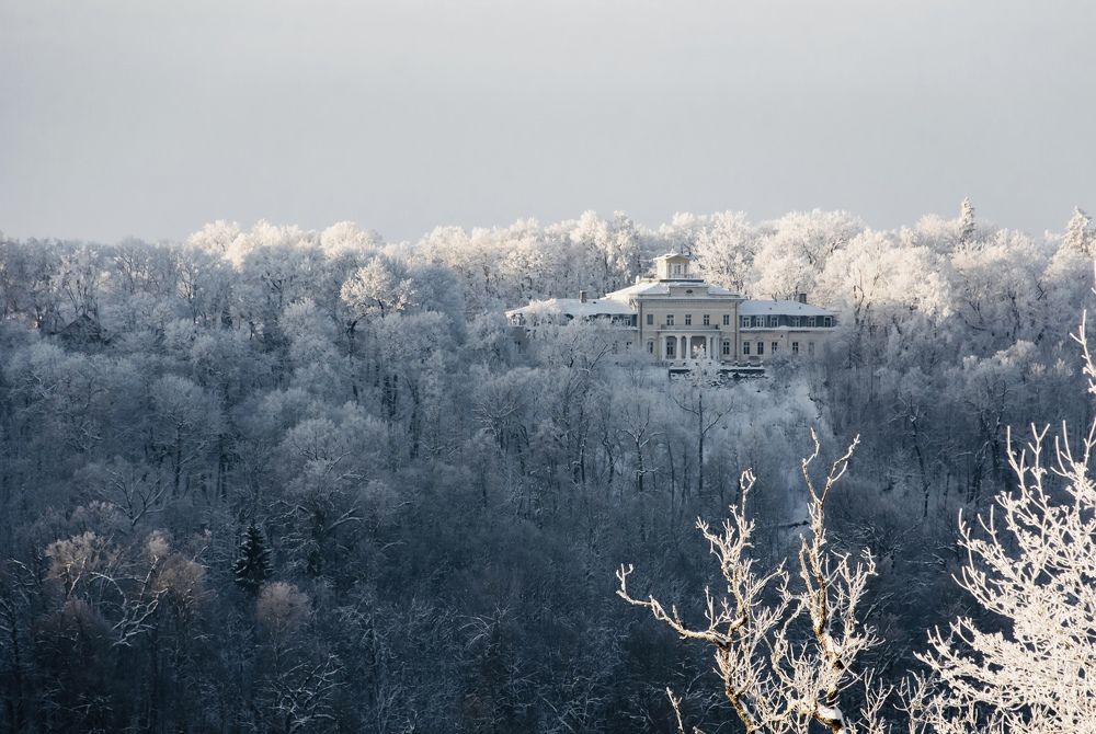 Photograph by Daniel Saikovsky