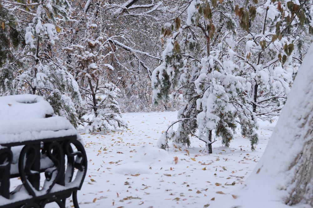 Photograph by Марина Савченко