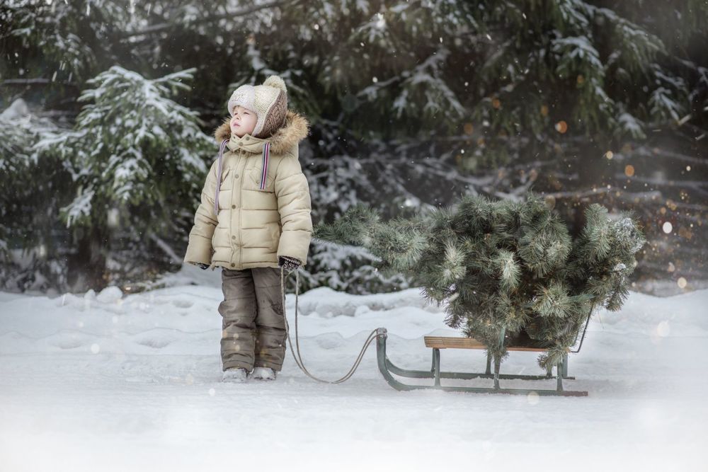 Photograph by анжела вахтина