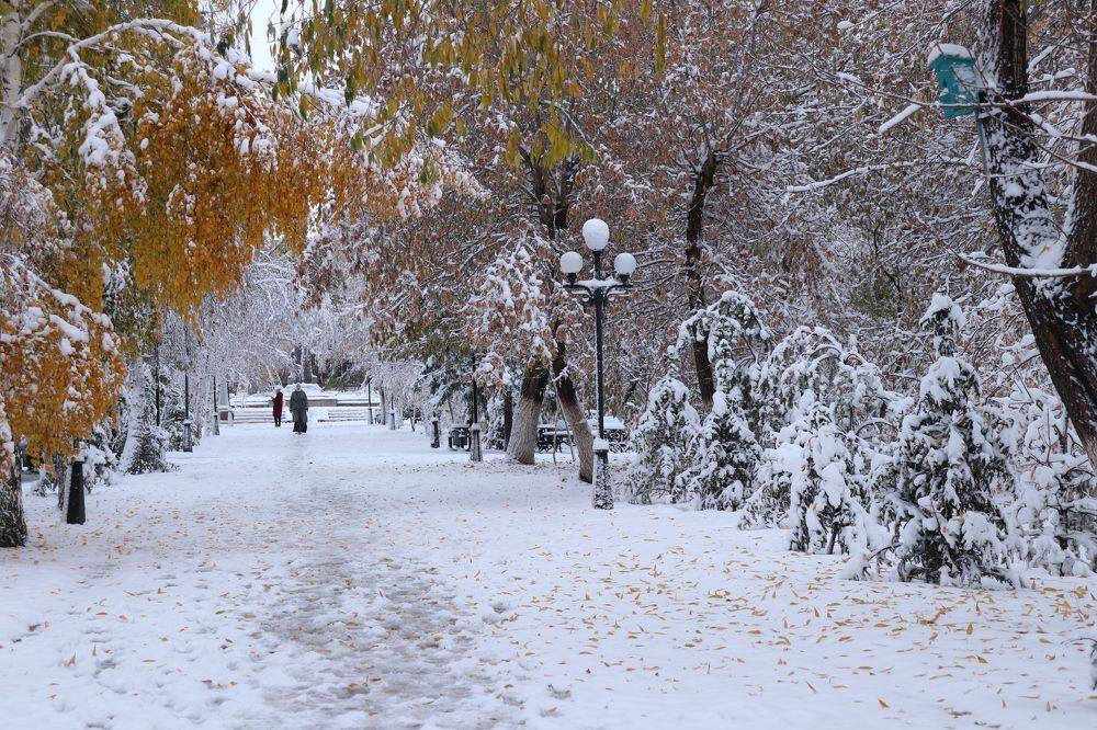 Photograph by Марина Савченко