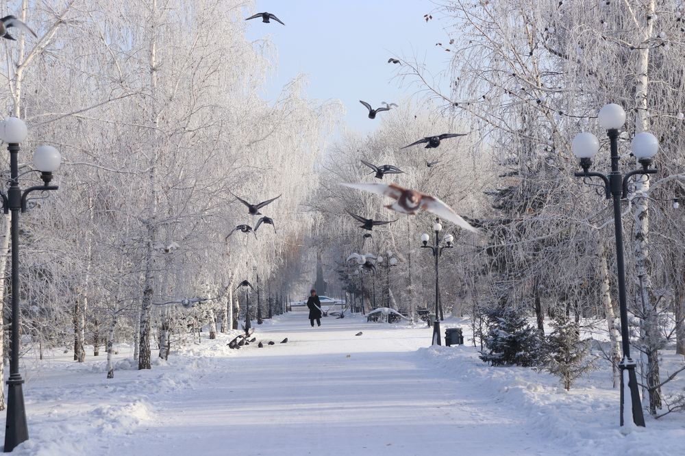 Photograph by Марина Савченко