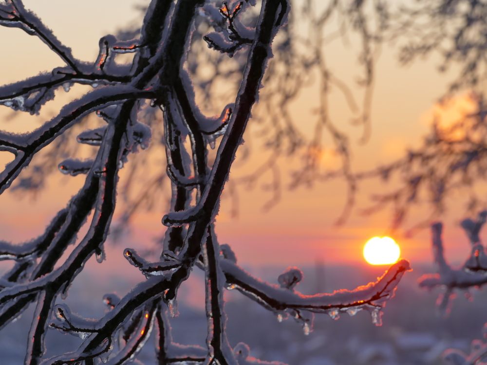 Photograph by Александр Кизим