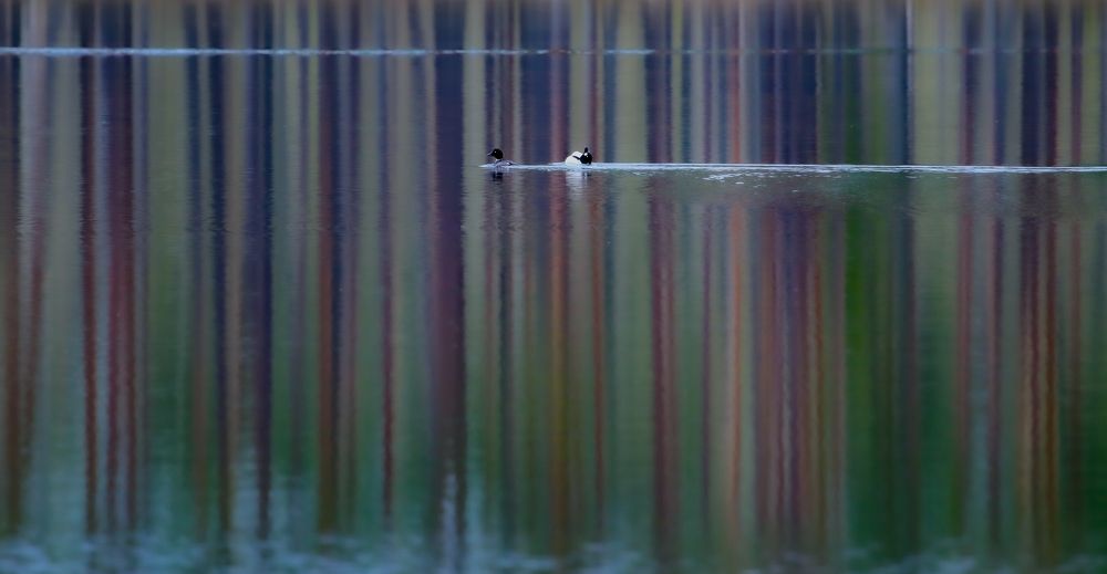 Photograph by Анна Чадова