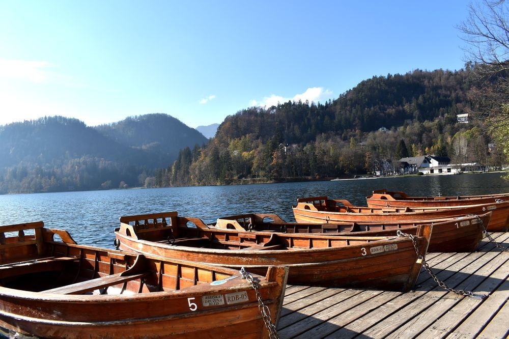 Morning on the Bled lake