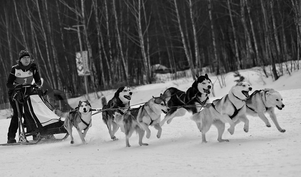 Photograph by Елена Одынец