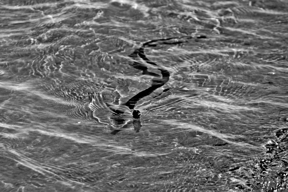 Photograph by Александр Бугаенко