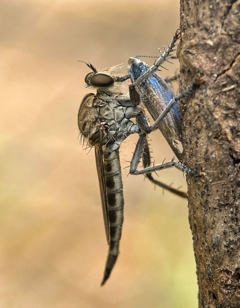 Photograph by Abhijit Roy