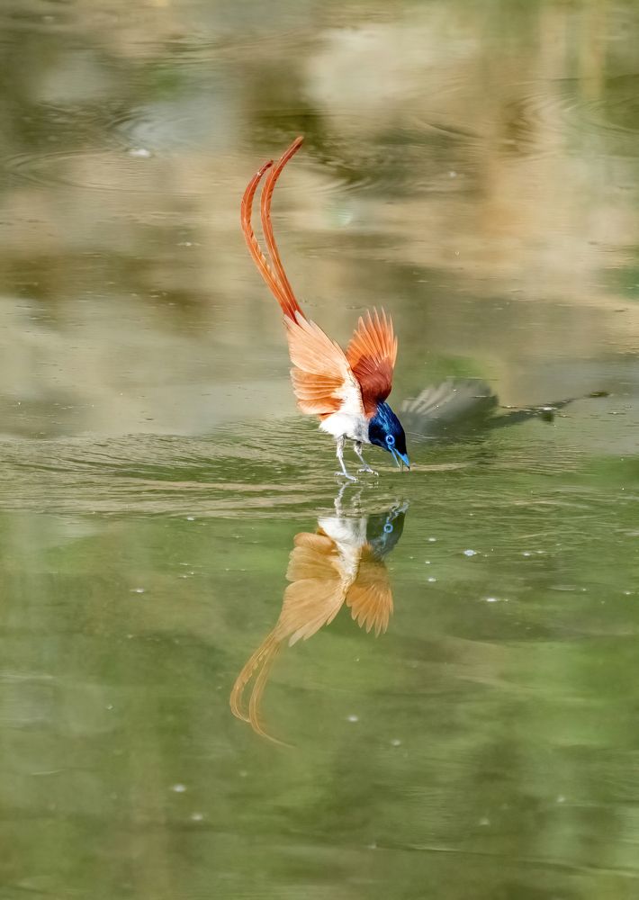 Photograph by Nitin Baste