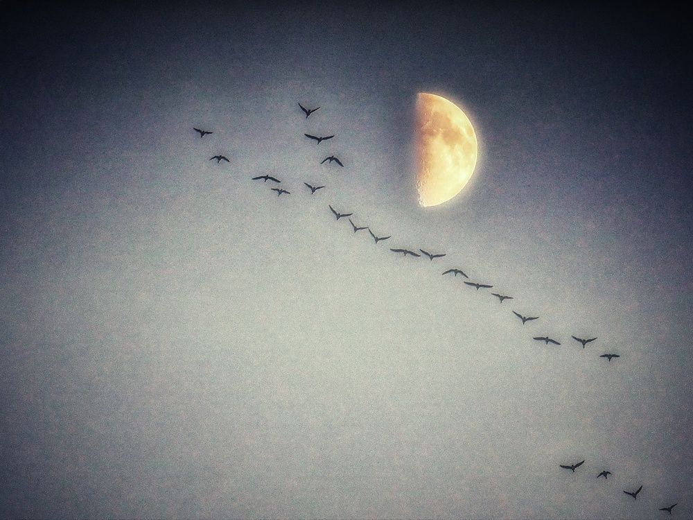 Photograph by Наталия Романова