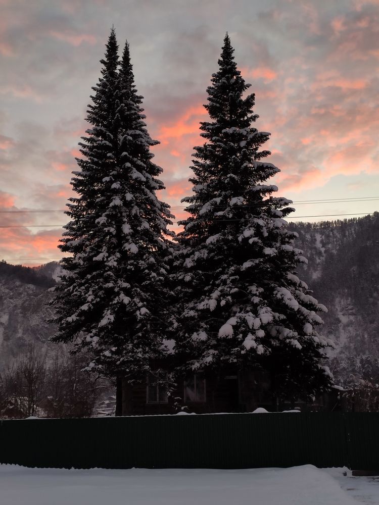 Photograph by Татьяна Кужлекова