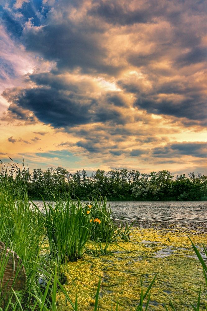 Photograph by Валентина Жиляева