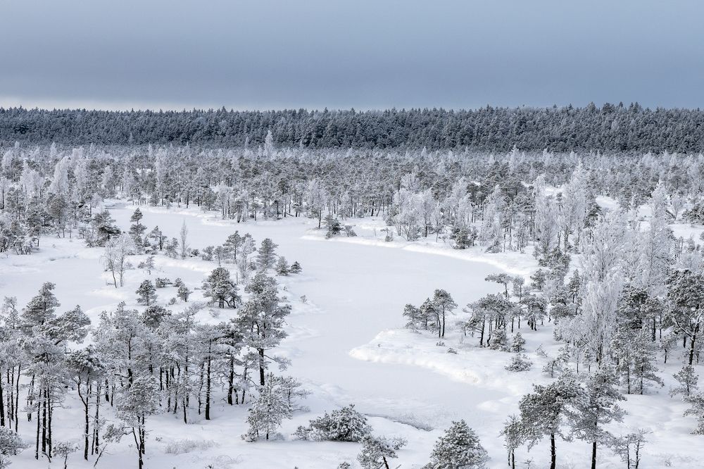 Photograph by Rolandas Valančauskas