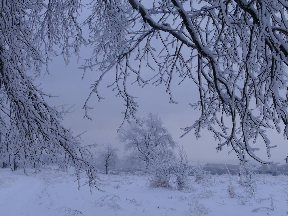 Photograph by Александр Кизим