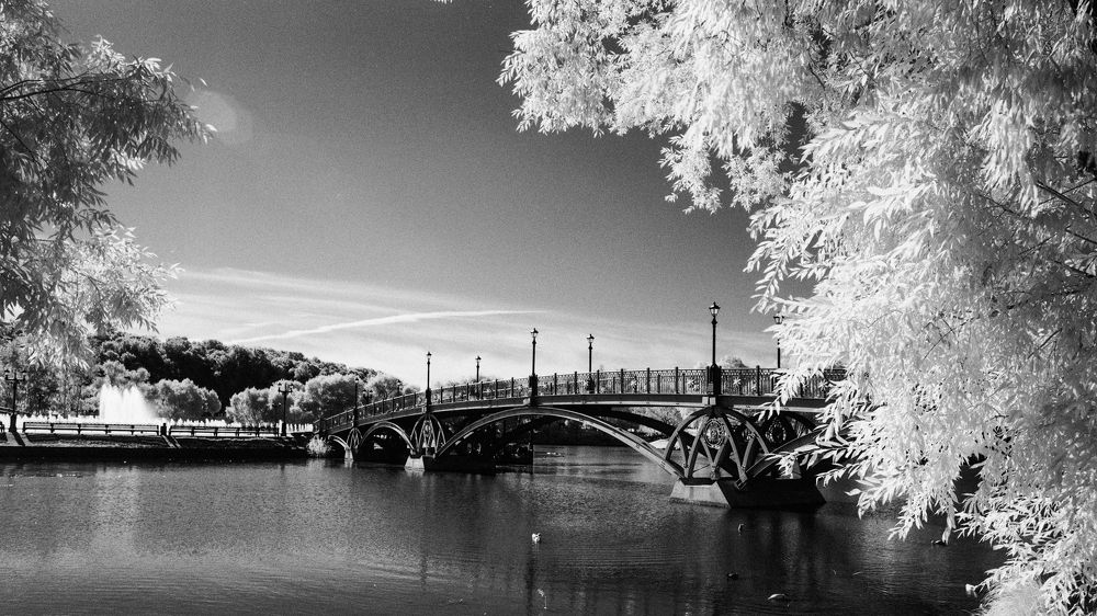 Photograph by Михаил Чапоров