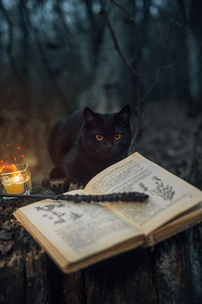 Фотография автора Сергей Жук