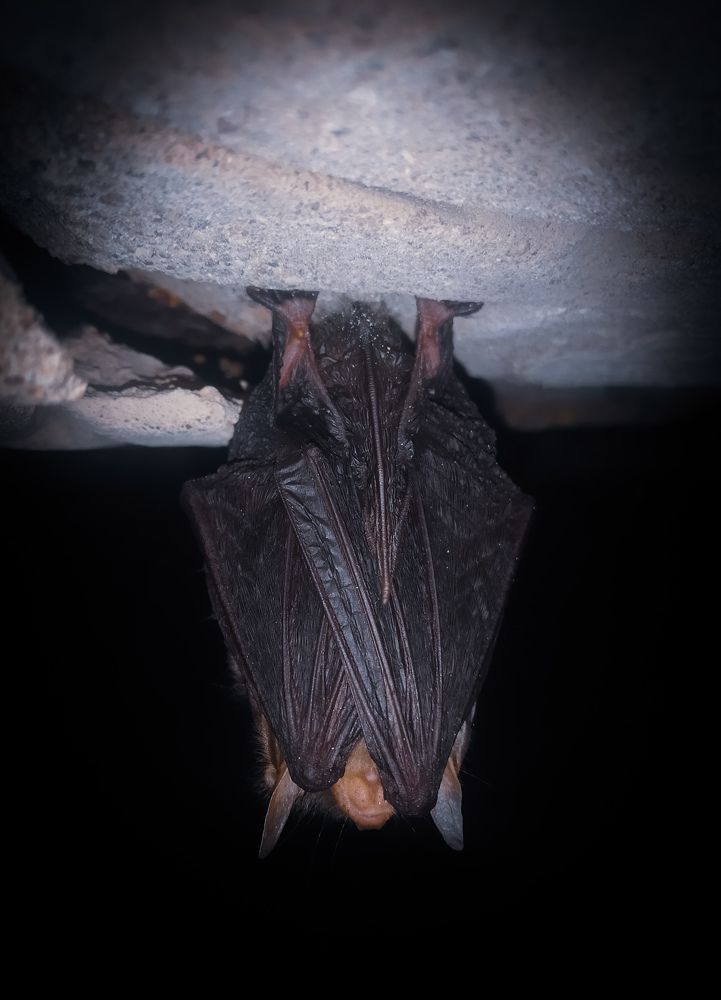 Photograph by Любовь Коровацкая