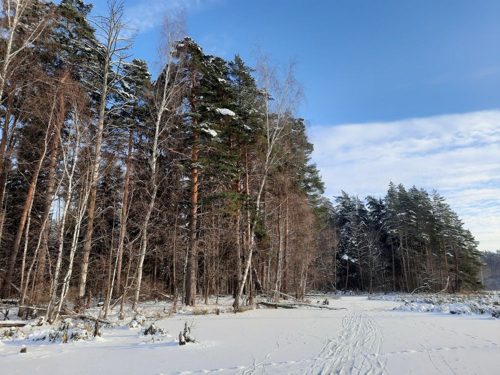 Photograph by Светлана Боровая