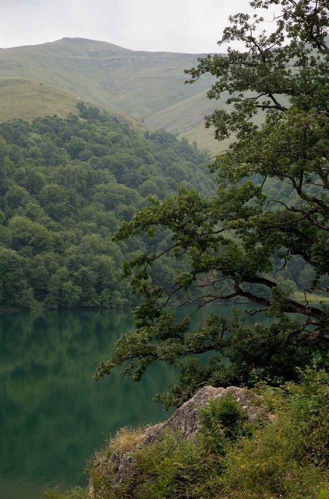 Photograph by Natalya Snegovaya